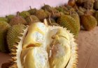 Aneka Perlombaan Warnai Dalam Festival Durian Di Jatinegara, Catat Tanggalnya!