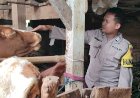 Bhabinkamtibmas Edukasi Upaya Pencegahan dan Antisipasi PMK