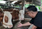 Ketua DPRD: Tetap Semangat Budidaya, PMK Jadi Tantangan Peternak