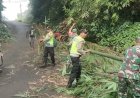 Di Kutasari, TNI-Polri Bersinergi Evakuasi Rumpun Bambu