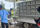 Cuaca Ekstrem, Ribuan Porsi MBG Tetap Terdistribusi