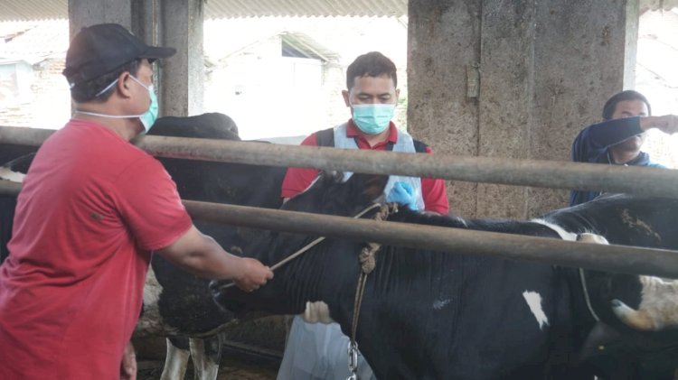 Dinkominfo Kota Pekalongan