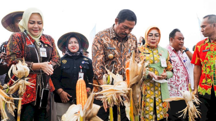 Pj Gubernur Jateng Nana Sudjana memanen jagung  di Grobogan, Selasa, (14/1).