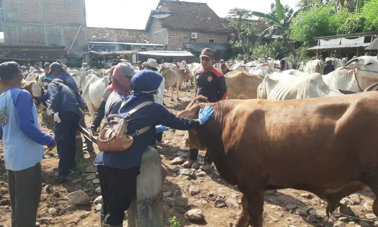 Situasi Pasar Hewan Pamotan Rembang yang di tutup sementara. Foto : Yon Daryono/RMOLJateng