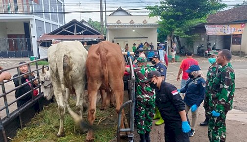 Tim gabungan saat melakukan PO anatuan di Pasar Hewan Pamotan. Yon Daryono/RMOLJateng