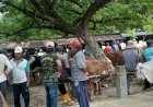 Antisipasi PMK, Disperindag Grobogan Perketat Lalu Lintas Pasar Hewan, Wacana Penutupan Pasar Dibatalkan