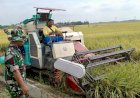 Stabilkan Harga Jual, Perum Bulog Borong Padi 3 Kabupaten di Jateng