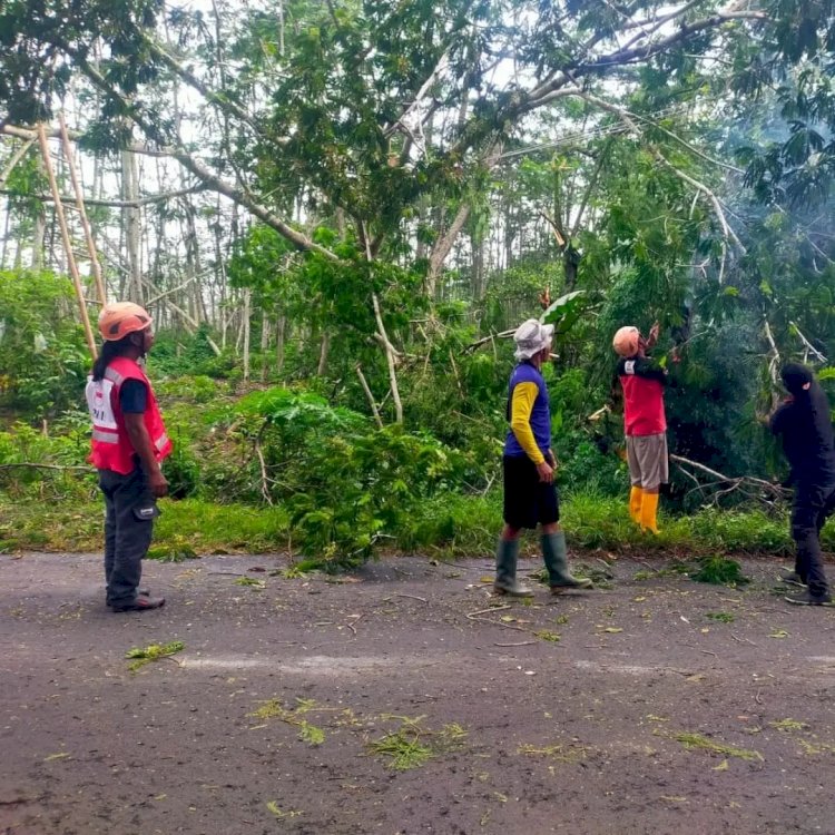 Tim Satuan Satuan Siaga Penanggulangan Bencana (Satgana) Palang Merah Indonesia (PMI) Sukoharjo Beraksi Menangani Dampak Bencana Angin Kencang Di Sukoharjo. Istimewa