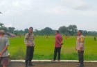 Di Tengah Kesibukan Pengamanan Arus Mudik, Polsek Teras Tetap Berikan Pengamanan Laga Persebi Melawan ILC Semarang