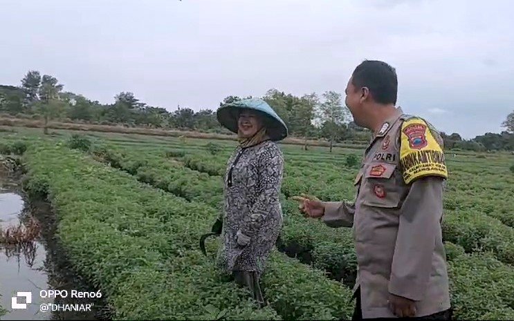 Kehadiran Bhayangkara Pembina Keamanan Dan Ketertiban Masyarakat (Bhabinkamtibmas) Polsek Sumurpanggang Polsek Tegal Kota Melakukan Pendampingan Kepada Warga Sekitar Menunjukan Sinergi Dan Kemitraan Bersama Masyarakat. Istimewa 