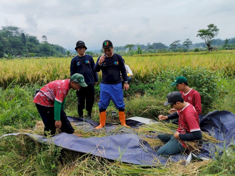 Diskominfo Kab. Batang