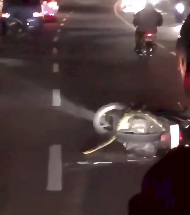 Seekor Ular Besar Keluar Dari Motor Saat Dikendarai Pemiliknya Di Jalan Dr Wahidin, Semarang, Jumat (14/03) Dini Hari. Dokumentasi Inilah Semarang