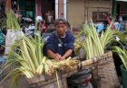 Warga Blora Berburu Janur Jelang Tradisi Lebaran Ketupat
