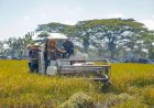 Masuk Panen Raya, Gubernur Jateng Optimis Swasembada Pangan