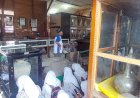 Terkuak! Museum Glagah Wangi Simpan Harta Karun