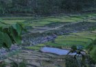 Desa-Desa Jepara Yang Berada Di Dalam Lindungan Gunung