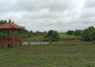 Agrowisata Sekar Aji, Destinasi Pilihan di Tepi Sungai...