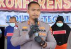 Penipuan Proyek Bodong Rp296 Juta, Diungkap Polres Tegal Kota.