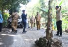 Beri Peringatan Bahaya, Warga Kembaran Wetan Tanam Pisang Di Lubang Jalan Rusak