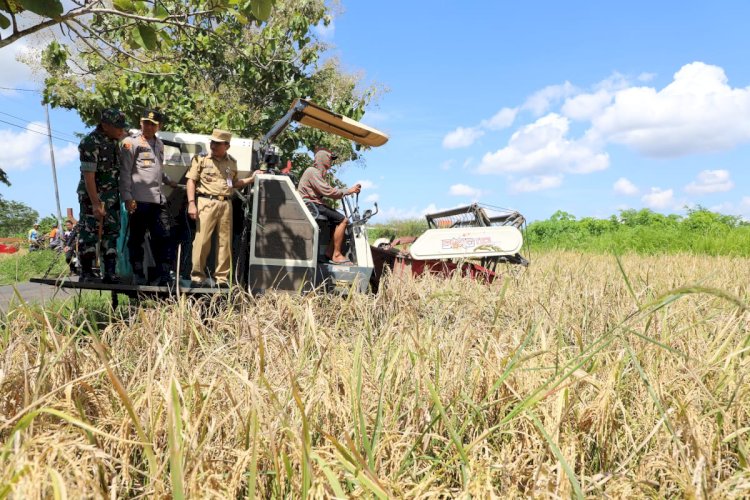 Pj Sekda Kabupaten Purworejo R Achmad Kurniawan Kadir MPA  Mengikuti Secara Daring Panen Raya Padi, Bersama Presiden Prabowo Subianto Dan Petani, Serentak Di 14 Provinsi, Senin (07/04). Dokumentasi Prokopim Purworejo