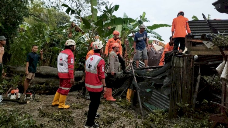 Petugas dari PMI dan BPBD Grobogan saat evakuasi pohon yang menimpa rumah warga Pulorejo Grobogan, Minggu (14/4) sore. Dok Istimewa.