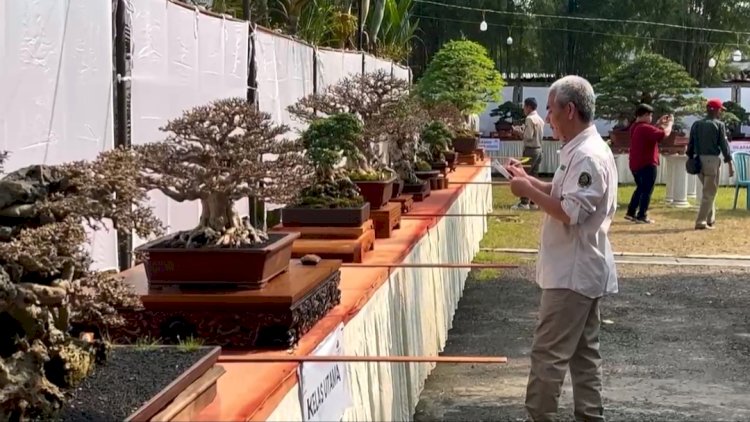 Juri mulai lakukan penilaian kontes bonsai di Rumah Kedelai Grobogan, Rabu (16/4). Rubadi/RMOLJateng. 