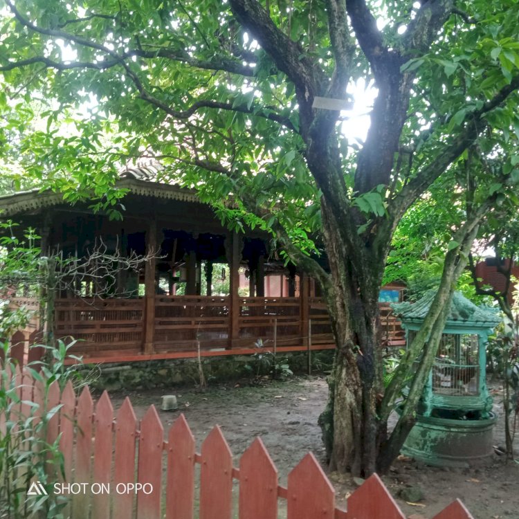 Sasono Renggo, Istana Kayu Kelapa Keturunan Sunan Kalijaga Yang Jarang Terungkap. Dinparta Demak