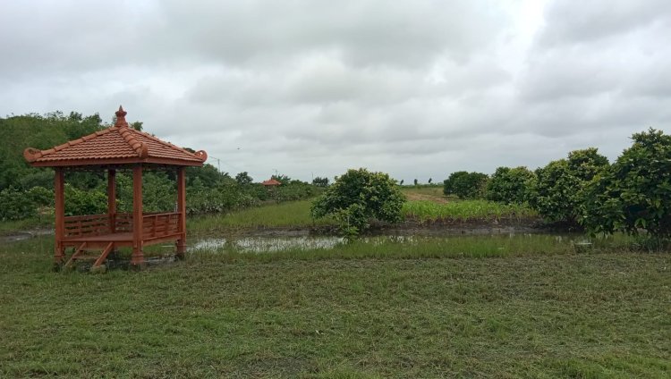 Dinparta Kab Demak