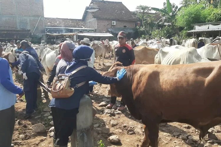 Pasar Hewan Pamotan Yang Dianggap Sudah Tidak Layak Sehingga Bakal Direlokasi. Yon Daryono/RMOLJawaTengah.