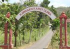 Pendapat Para Penggiat Lingkungan Dan Akademisi Tentang Rencana Pengoperasian Pabrik Semen Di Pracimantoro
