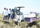 Program Lumbung Pangan Baznas Dorong Kemandirian Petani...
