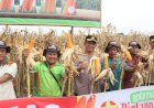 Petani Tarub Panen Komoditas Unggulan di Kabupaten Tegal