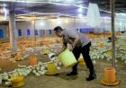 Jelang Masa Pensiun, Anggota Polres Pemalang Lirik Usaha...