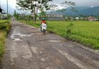 Refocusing Anggaran, Jalan Rusak Depan PKU Kalibening Gagal Diperbaiki Tahun Ini