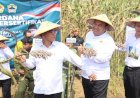 Mendes Dukung Blora Jadi Pusat Pengembangan Sorgum