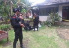 Granat Aktif dan Ratusan Peluru Ditemukan di Gudang Warga Mrebet