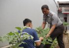 Program Pertanian Rutan Banjarnegara, Ladang Pembinaan Bagi Warga Binaan