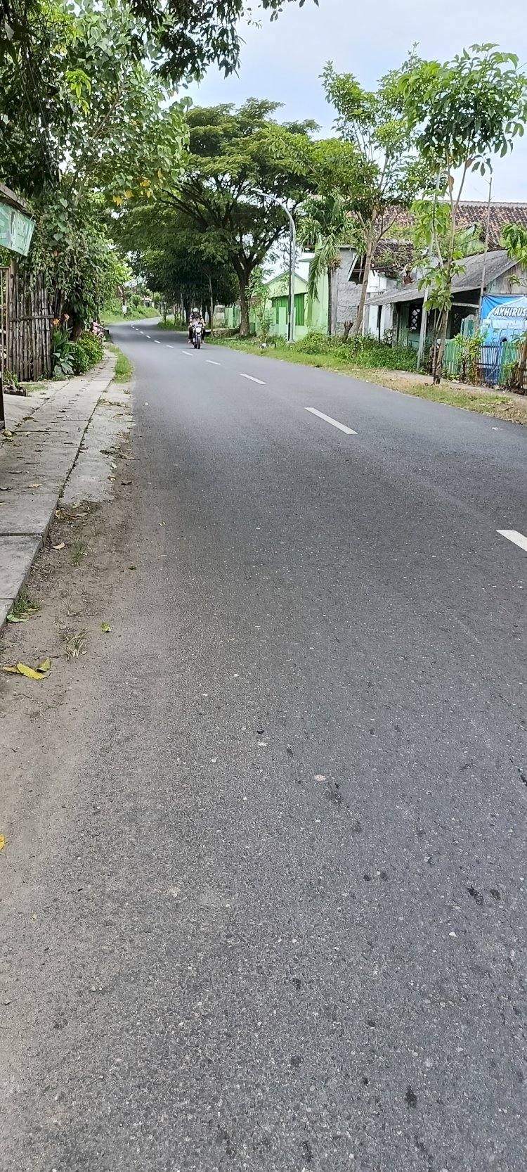 Jalan Pasar Rembang Kota-Desa Pulo Yang Juga Diperiksa Tim Polda Jateng. Yon Daryono/RMOLJawaTengah