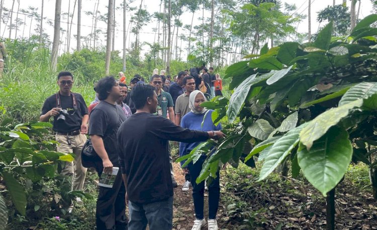 Pantauan Langsung Ke Petani Kopi, Ketua TP PKK Batang Faelasufa Menekankan Agar Produk Kopi Khas Batang Dikenal Oleh Konsumen Nasional Dengan Upaya Pembinaan Bagi Jenis Yang Berpotensi Besar, Sabtu (03/05). Diskominfo Kabupaten Batang