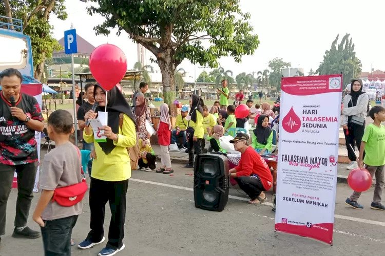 Diskominfo Kab Batang