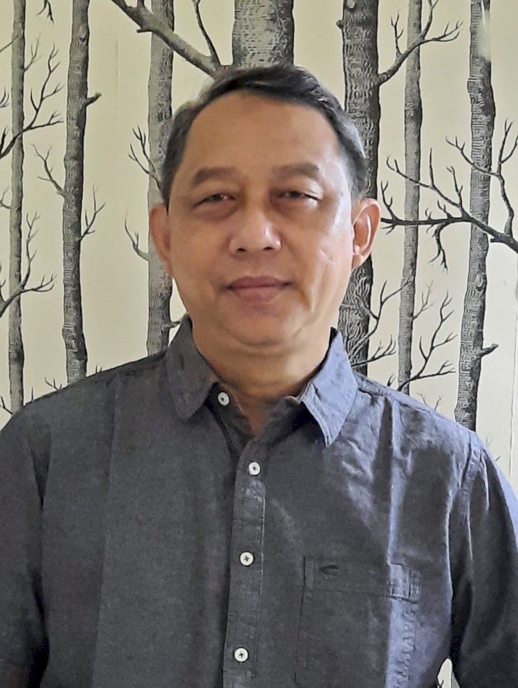 Djoko Setijowarno. Istimewa