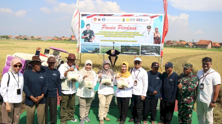 Diskominfo Kota Pekalongan